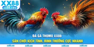 Đá Gà Thomo XX88 - Sân Chơi Kịch Tính, Rinh Thưởng Cực Nhanh