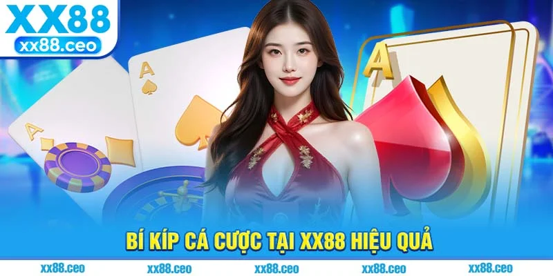 Bí kíp cá cược tại xx88 hiệu quả