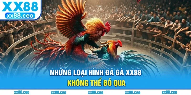 Những loại hình đá gà xx88 không thể bỏ qua